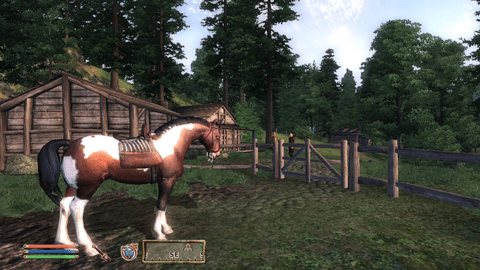 Todd Howard On Elder Scrolls Horse Armor: “People Will Buy Anything”
