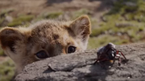 The Lion King Movie Reactions Are In — Here’s What People Are Saying