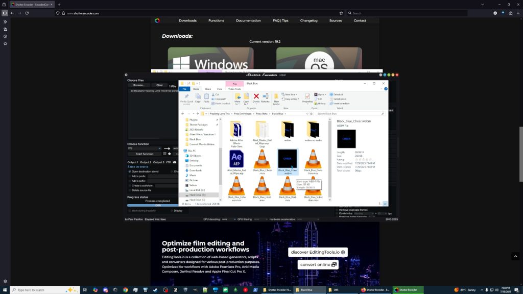 Converted Webm File